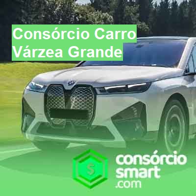 Consórcio Carro-em-várzea-grande